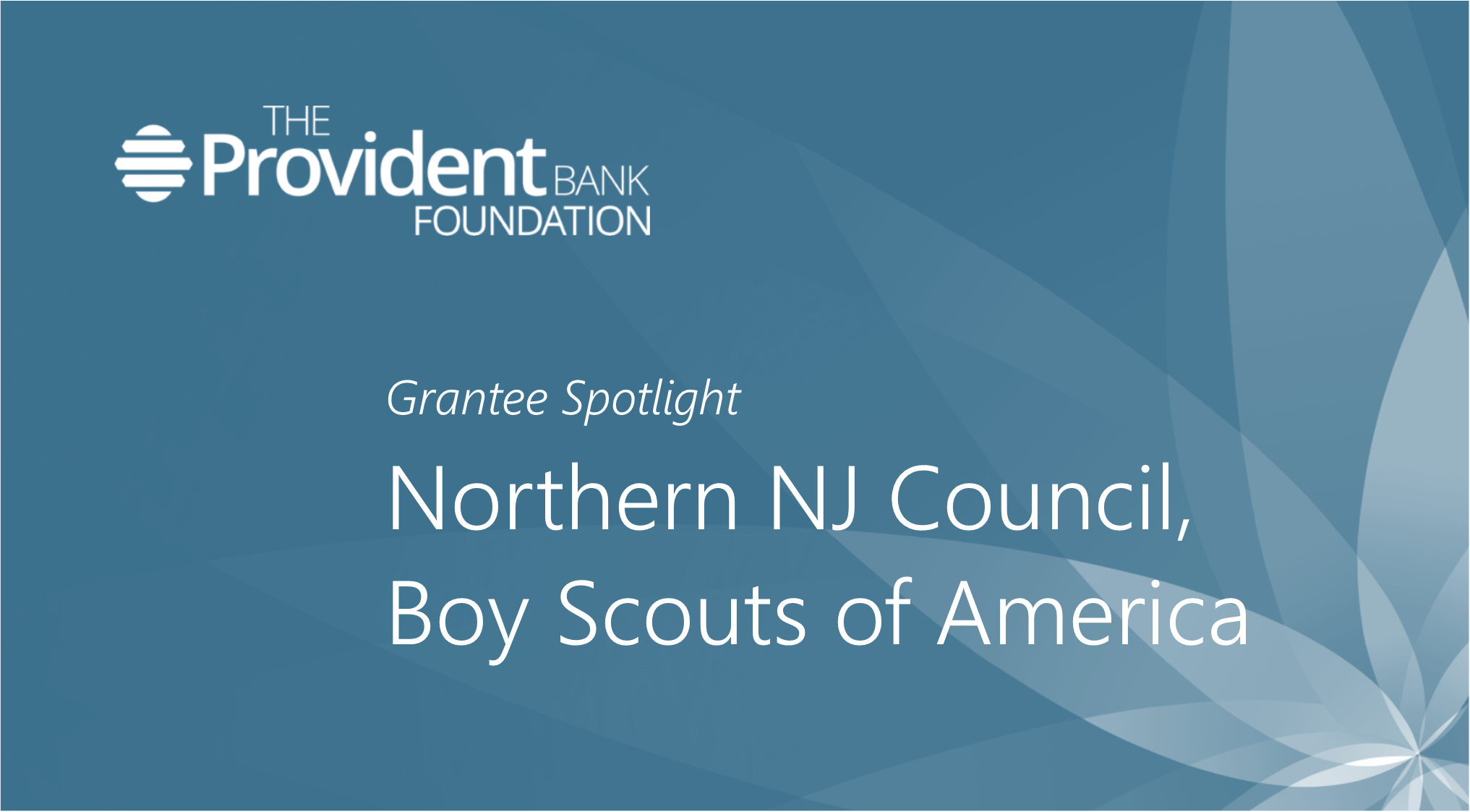 Grantee Spotlight Nnjc Bsa